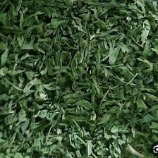 خرید برگ نعنا خشک تازه + قیمت عمده و کیفیت ممتاز